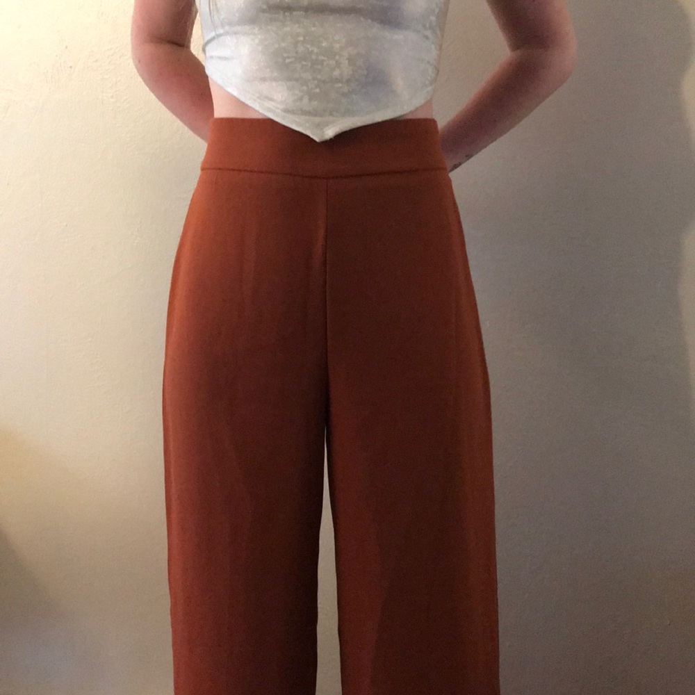 Zara terra cotta wide leg pants